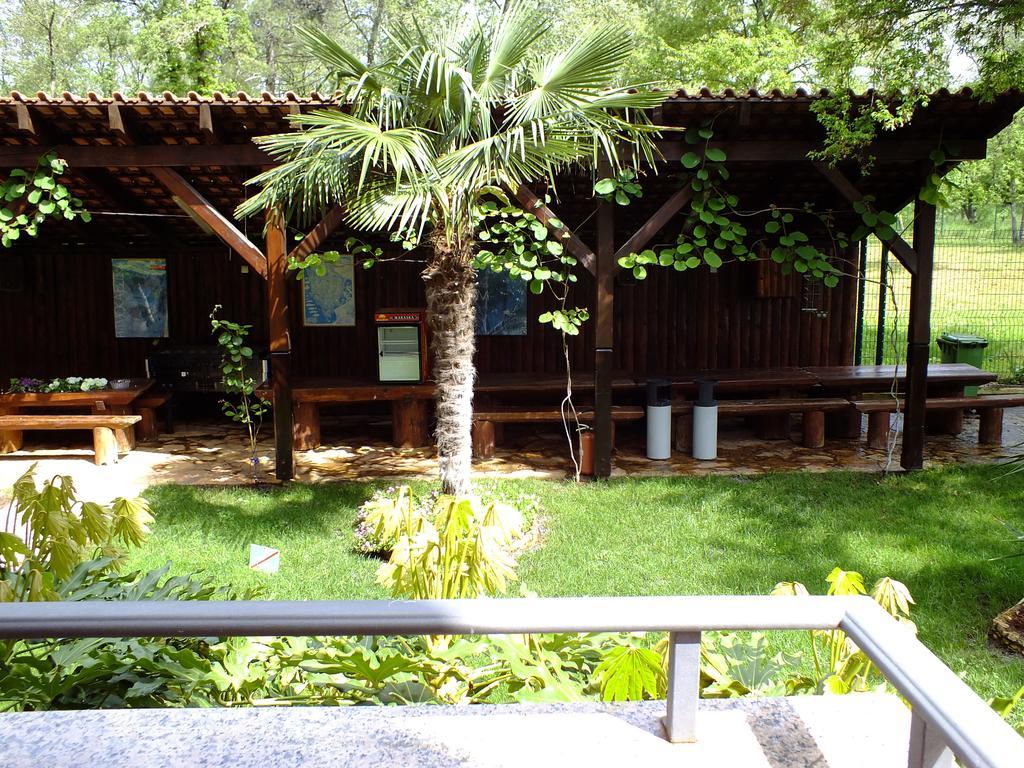 קריגדור Aqua Family Apartments חדר תמונה